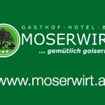 2016-sponsor-moserwirt
